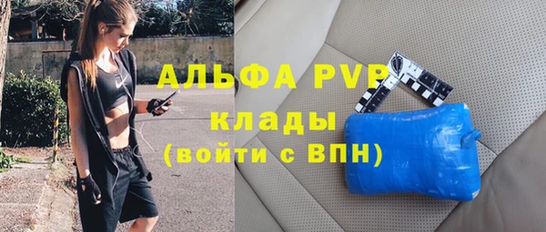 СК Богородск
