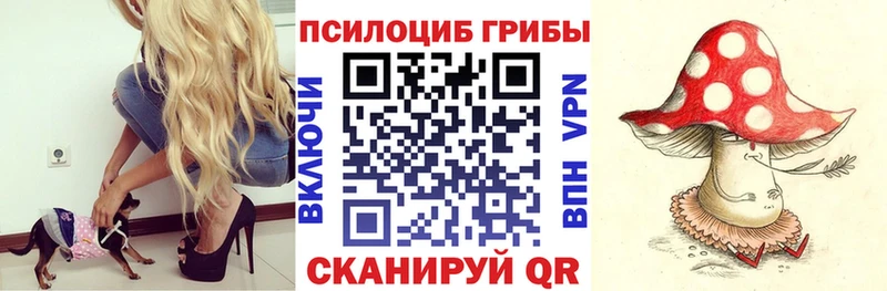 где найти   Новосокольники  Галлюциногенные грибы ЛСД 